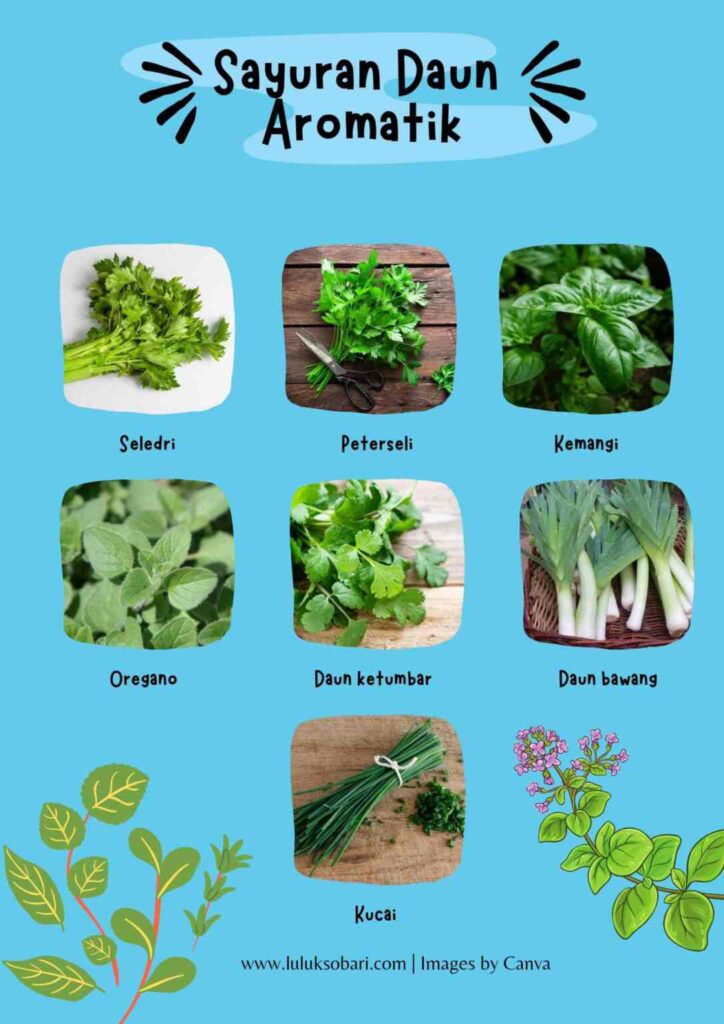 Sayuran daun aromatik