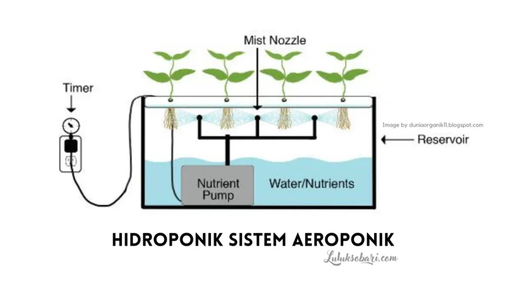 hidroponik sistem aeroponik